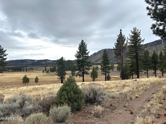 a view of a town with large trees