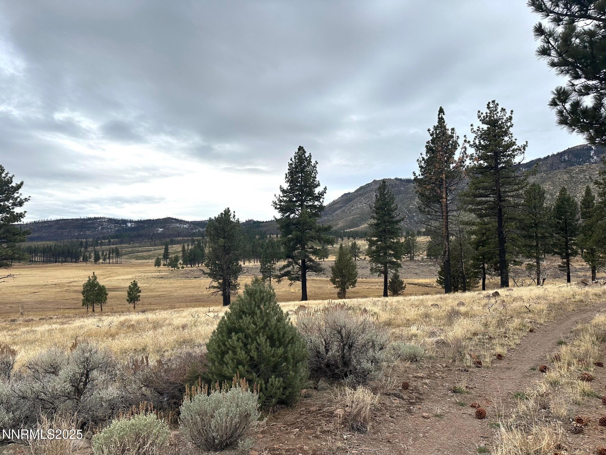 047 State Route 89 Markleeville, CA 96120 - Photo 7 of 70 IMG_2235