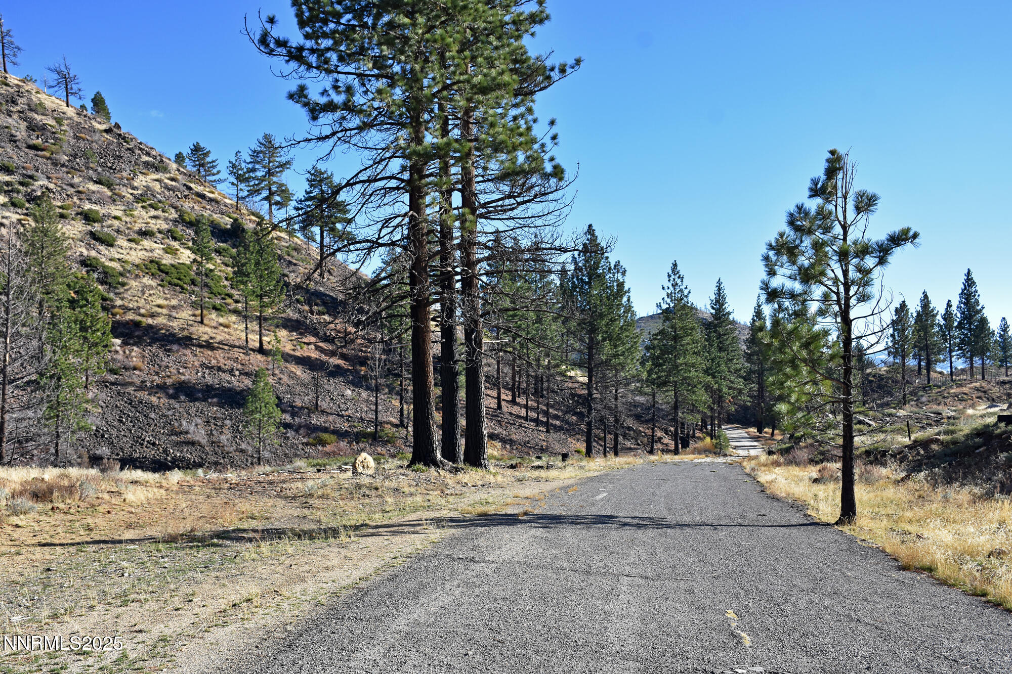 047 State Route 89 Markleeville, CA 96120 - Photo 9 of 70 a view of outdoor space and yard