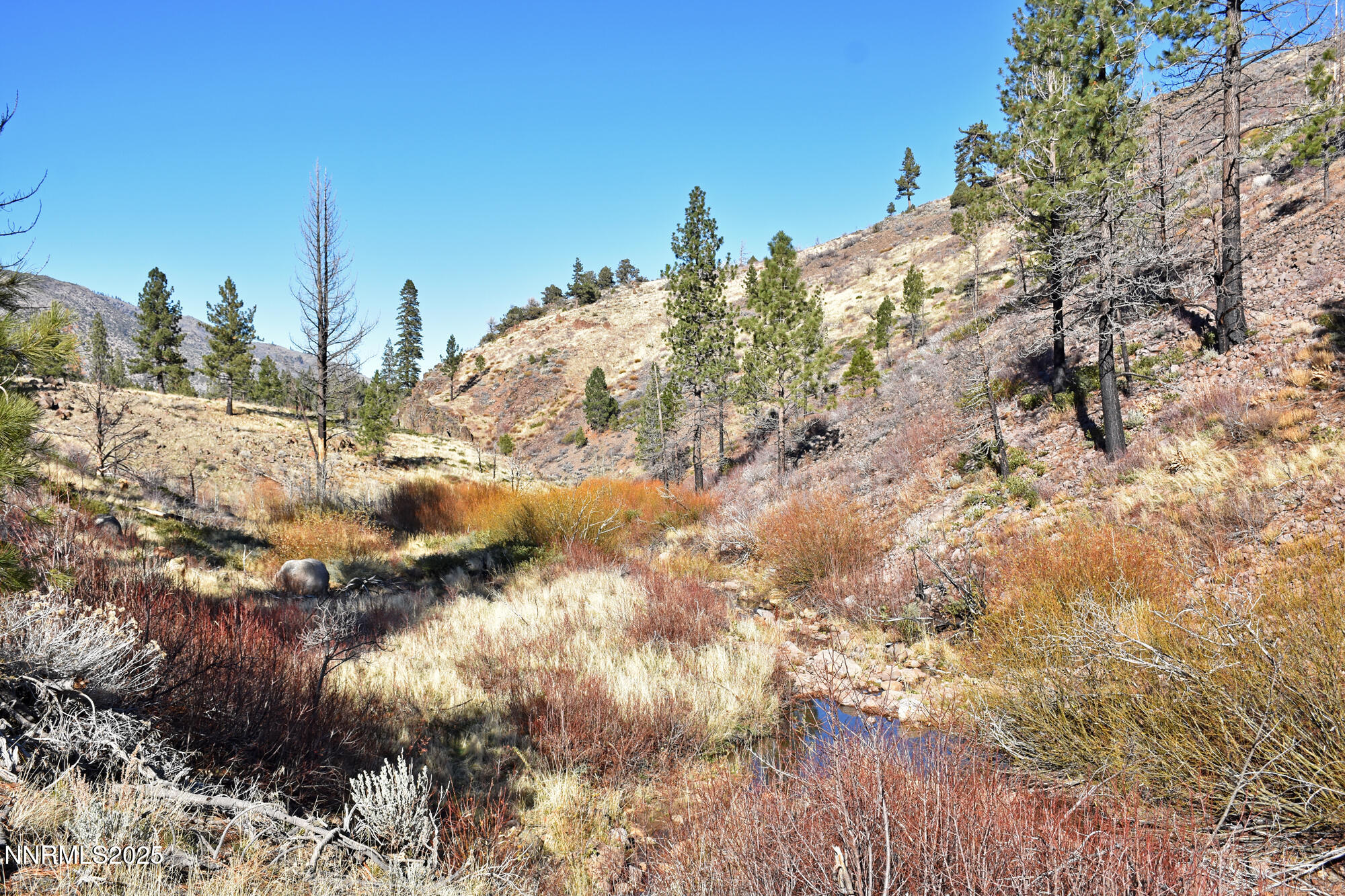 047 State Route 89 Markleeville, CA 96120 - Photo 10 of 70 Brower7