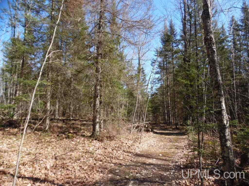 W7729 Black Sam Road Amberg, WI 54102 - Photo 22 of 35 Gallery Image 22