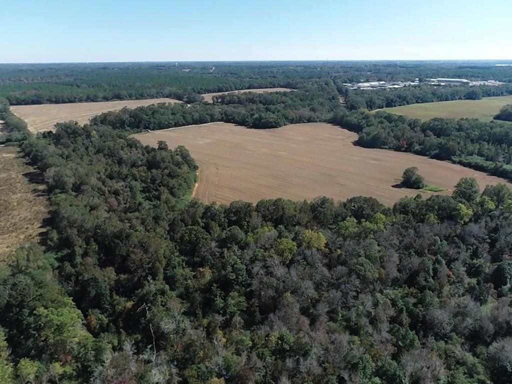 65.49-ac Drew Road Dothan, AL 36301 - Photo 11 of 29