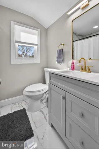 a bathroom with a toilet a sink and mirror