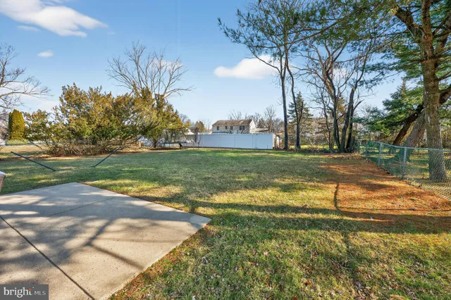 a view of a yard with a tree