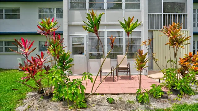 a view of front of house with potted plants
