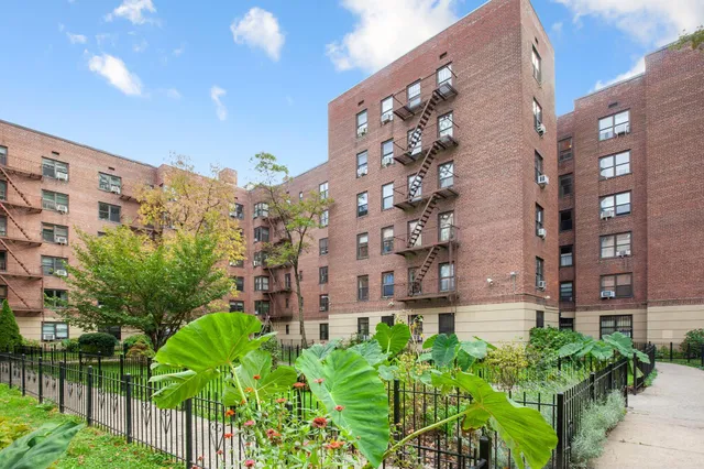 a bedroom with a bed potted plant and a window