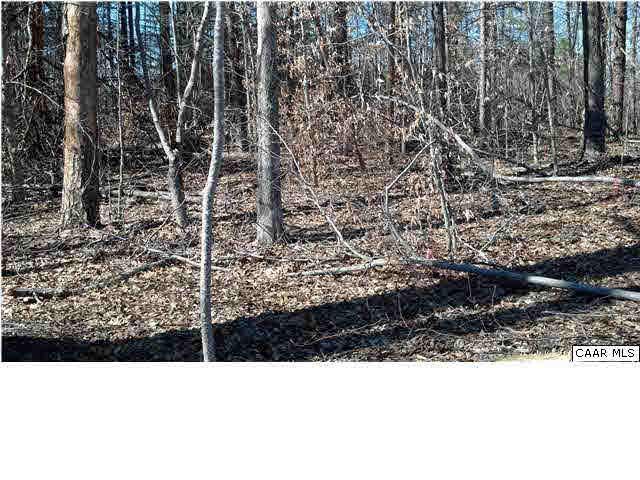 Hunters Lodge Road Troy, VA 22974 - Photo 5 of 14 a view of a yard
