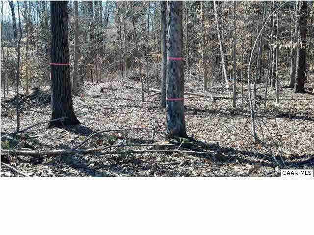Hunters Lodge Road Troy, VA 22974 - Photo 6 of 14 a picture of a street