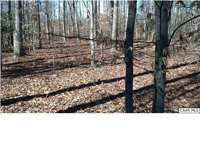 Hunters Lodge Road Troy, VA 22974 - Photo 7 of 14 a view of a backyard
