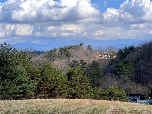 a view of that has a large tree