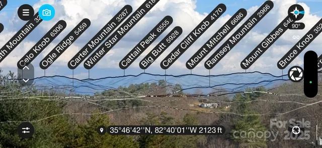 a view of a yard with large trees