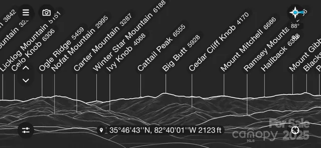 a view of a forest filled with trees