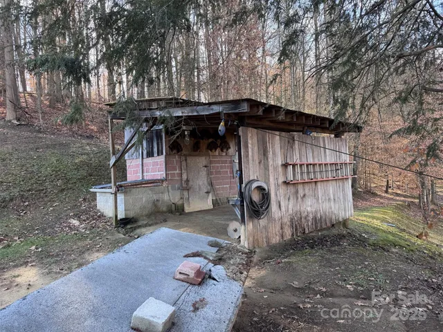 a view of a dry yard with trees