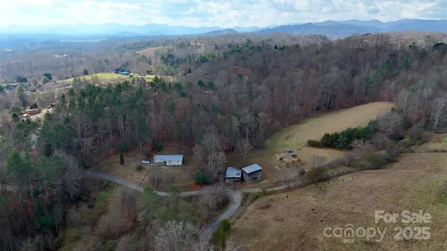 a view of a city with lush green forest