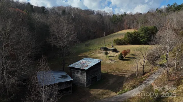 a view of a yard with lots of green space