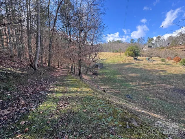 a view of a yard with yellow lighting