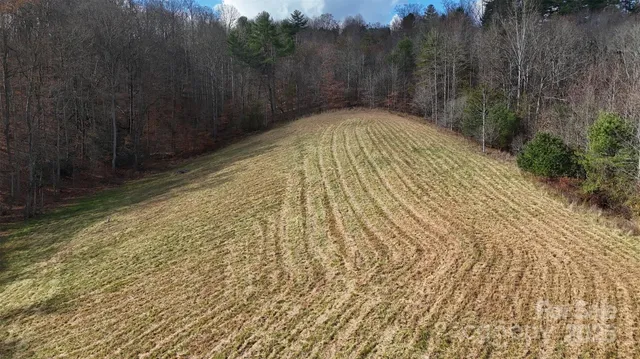 a view of a wooden wall with a lake view