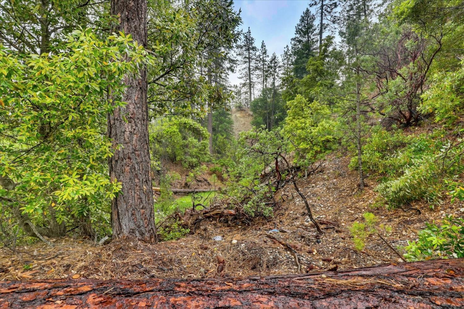13751 Sailor Flat Road Nevada City, CA 95959 - Photo 29 of 49
