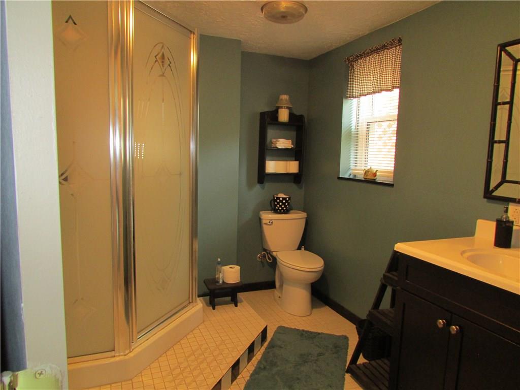136 McKenzie Road Clinton, PA 15026 - Photo 18 of 25 Full bath in lower level with shower.
