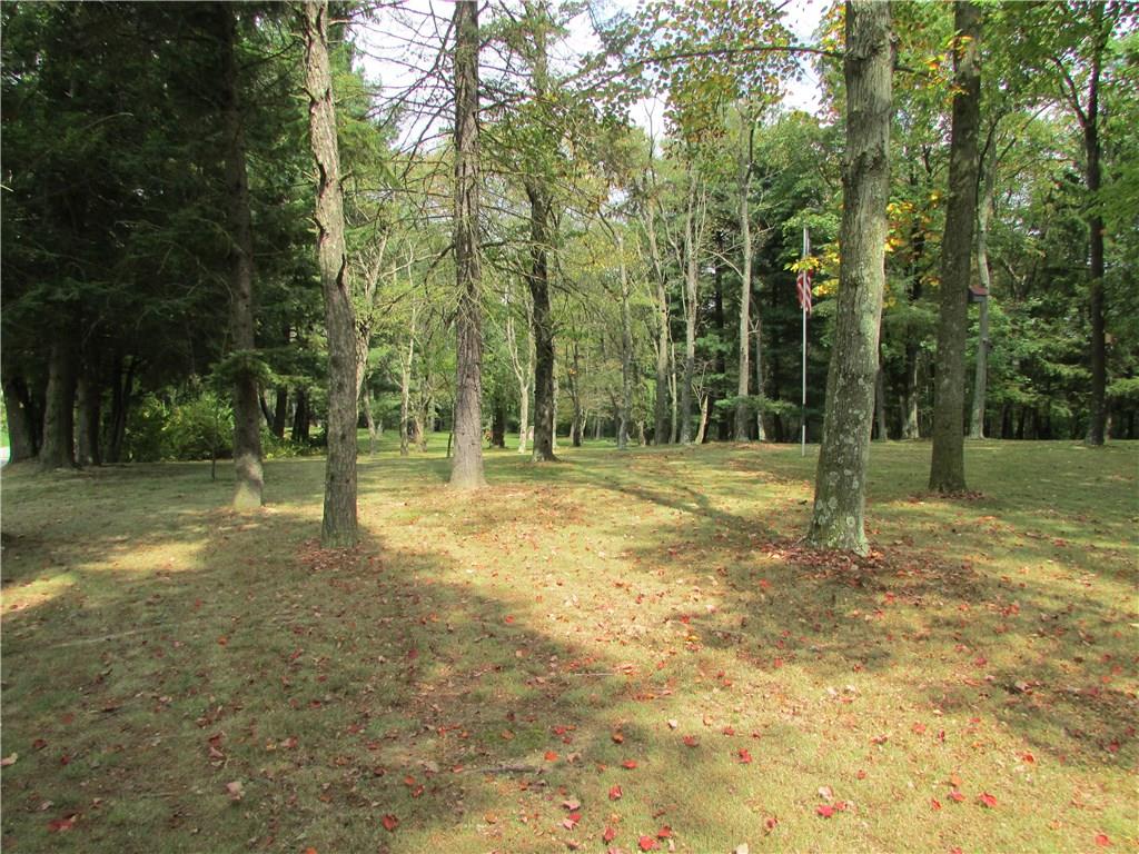 136 McKenzie Road Clinton, PA 15026 - Photo 5 of 25 Private level yard with trees.