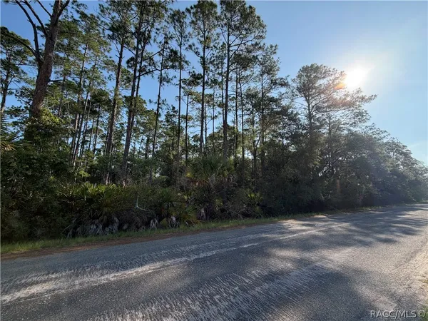 $39,900 | 11023 West Acacia Drive, Crystal River, FL 34428