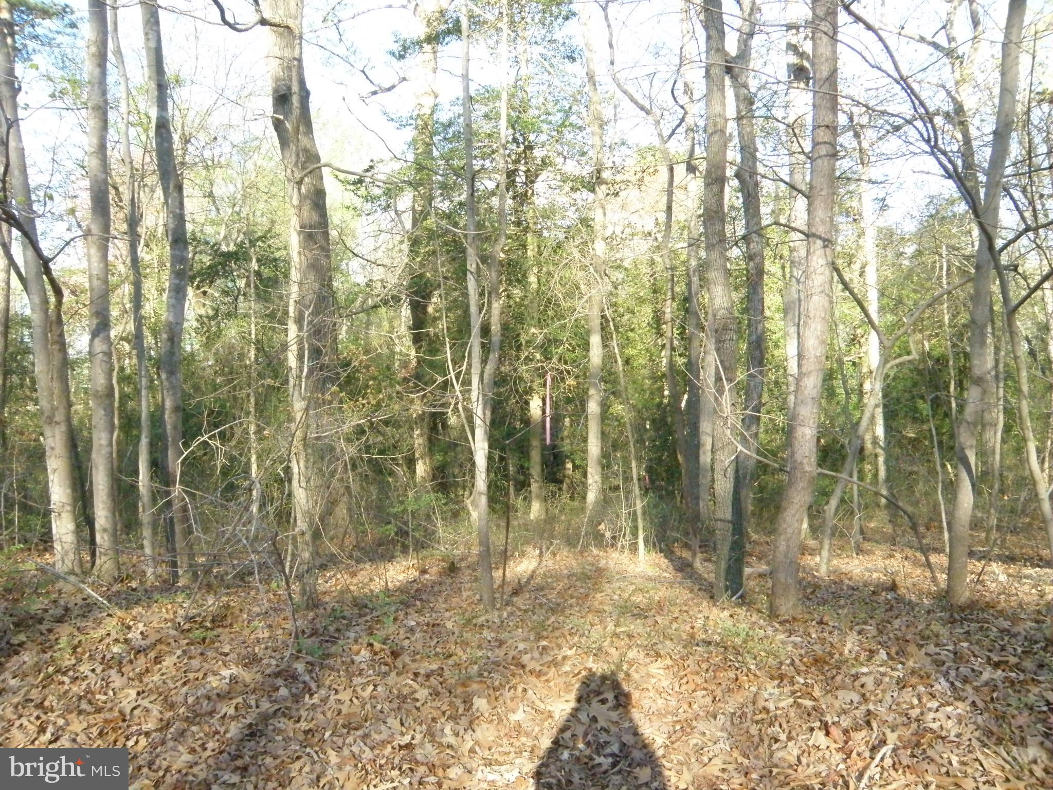 Lot 6 Benson Road Lincoln, DE 19960 - Photo 1 of 1 Lot 6 Benson Rd