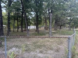 11257 Cedar Drive Mabank, TX 75156 - Photo 3 of 8 a view of outdoor space with trees
