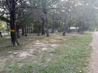 11257 Cedar Drive Mabank, TX 75156 - Photo 7 of 8 a view of outdoor space with trees