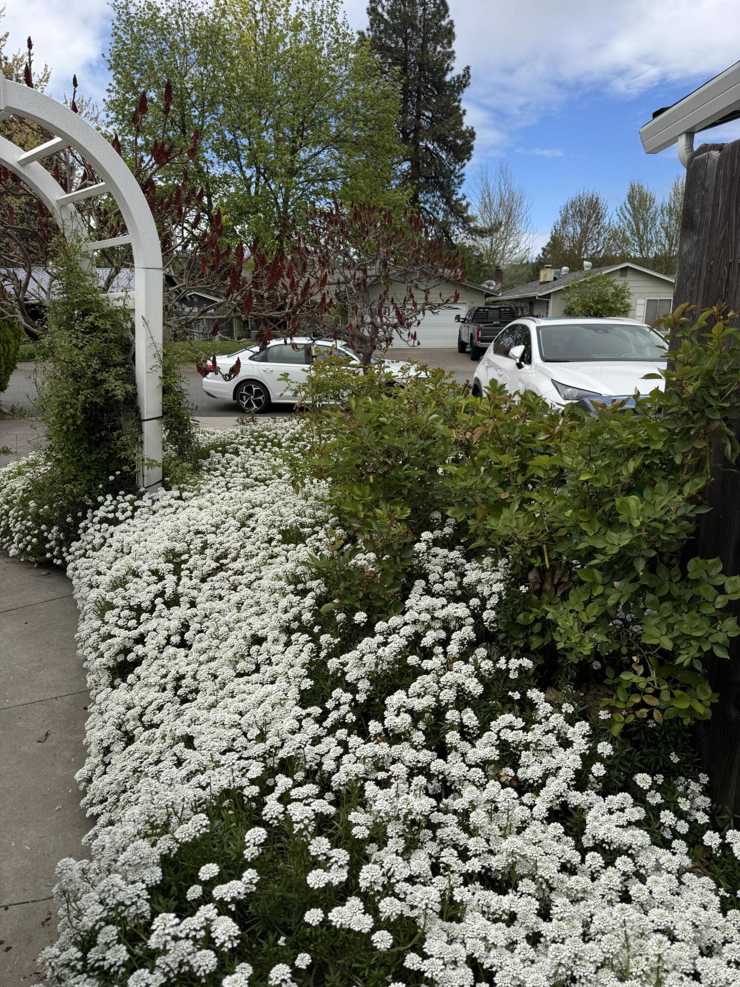 20525 Hudson Street Burney, CA 96013 - Photo 3 of 58 20260420_195612251_iOS