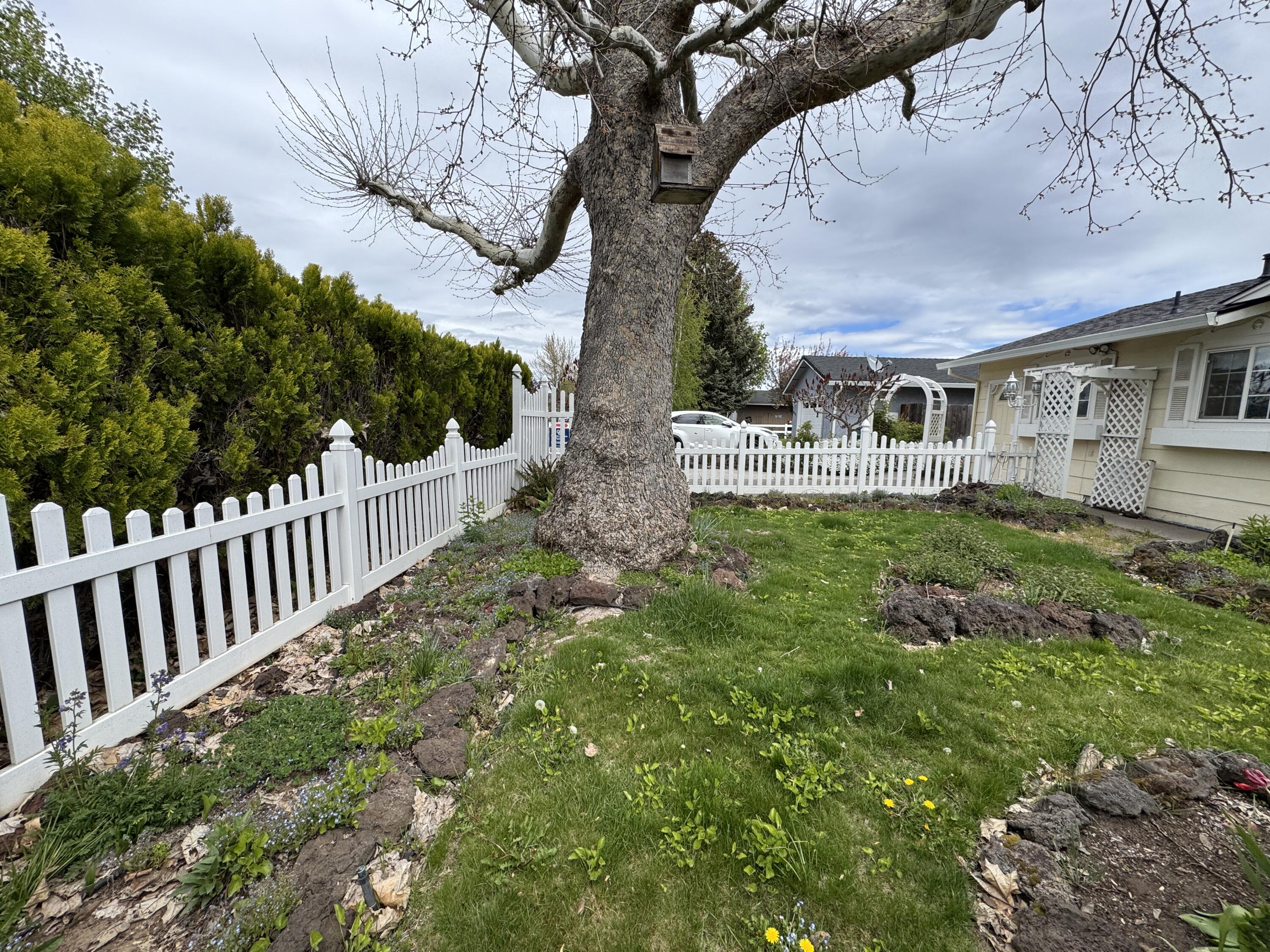 20525 Hudson Street Burney, CA 96013 - Photo 58 of 58 a view of a house with backyard and sitting area