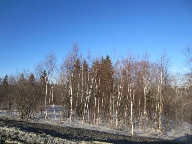 0 Daigle Crossing Road St. Agatha, ME 04772 - Photo 2 of 3 Photo