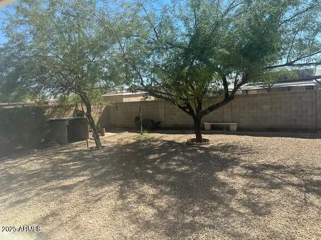 a view of a yard with a tree