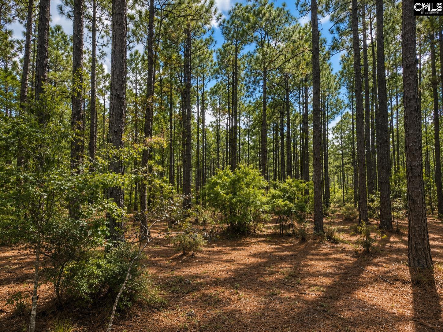 Tbd Gantt Mill Road, Unit PARCEL 3 Leesville, SC 29070 - Photo 2 of 16 Gallery Image 2