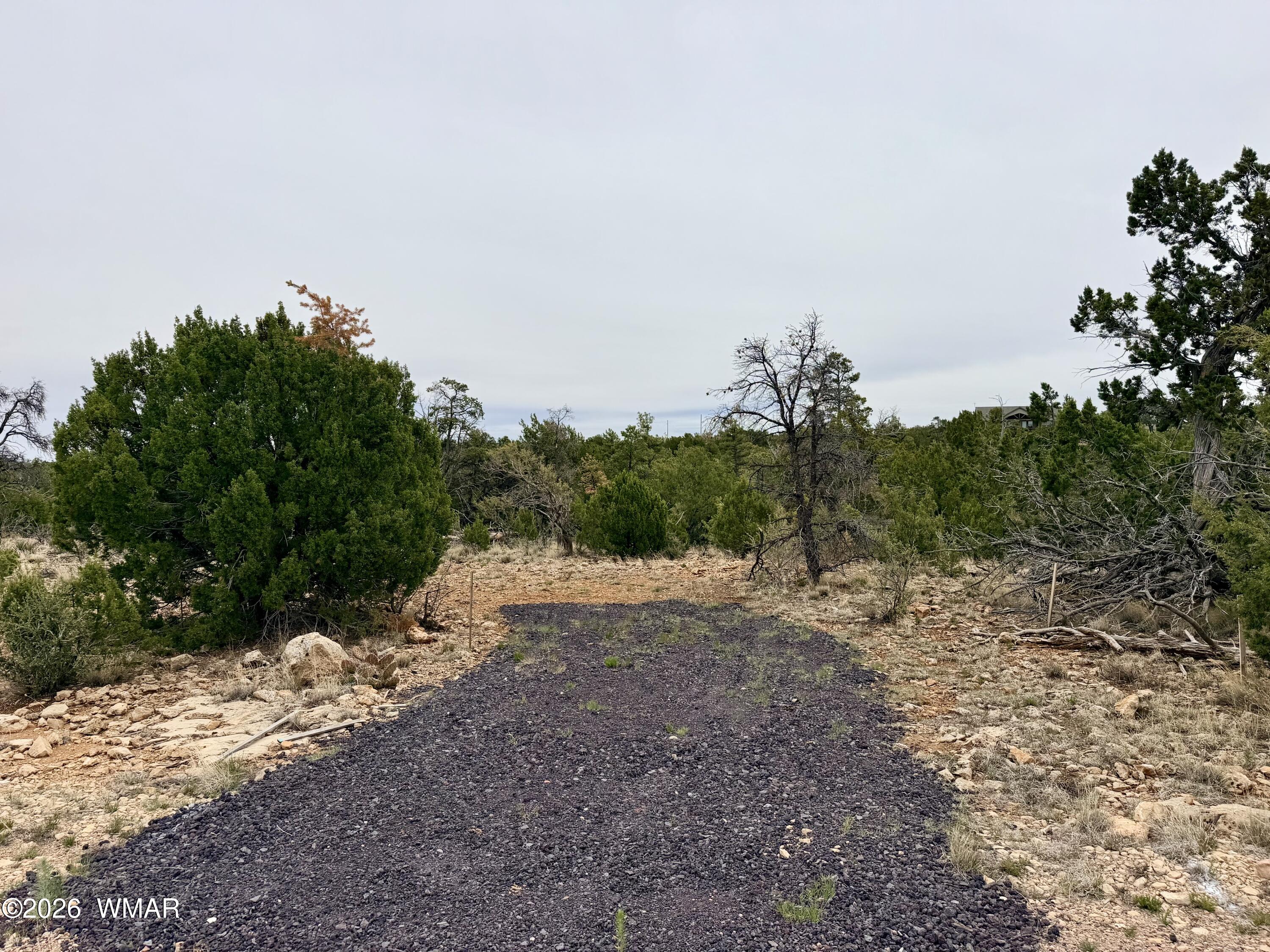 4918 Sunset Ridge Drive Happy Jack, AZ 86024 - Photo 2 of 10 a big yard with lots of green space
