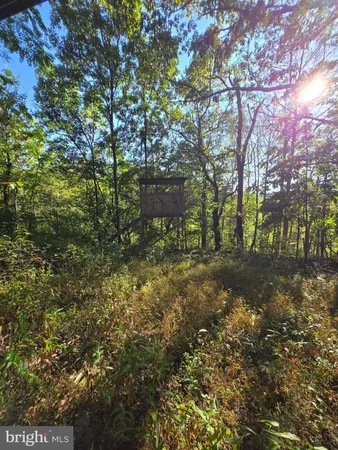 $1,950,000 | 10543 Woodsboro Road, Woodsboro, MD 21798