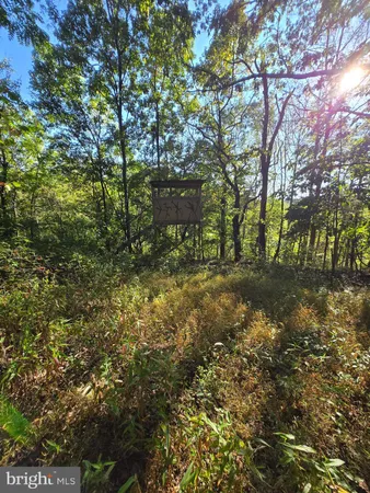 $1,950,000 | 10543 Woodsboro Road, Woodsboro, MD 21798