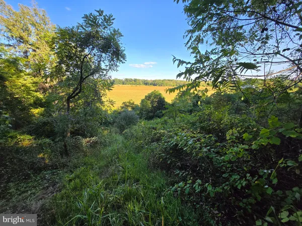 $1,950,000 | 10543 Woodsboro Road, Woodsboro, MD 21798