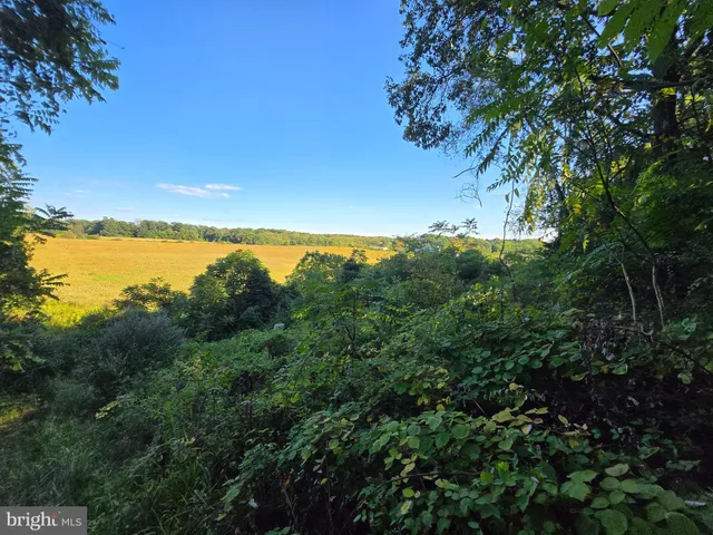 $2,150,000 | 10543 Woodsboro Road, Woodsboro, MD 21798