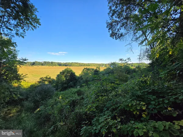 $1,950,000 | 10543 Woodsboro Road, Woodsboro, MD 21798