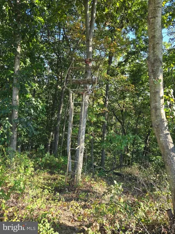 $2,150,000 | 10543 Woodsboro Road, Woodsboro, MD 21798