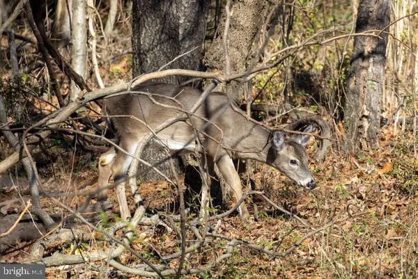 $1,950,000 | 10543 Woodsboro Road, Woodsboro, MD 21798