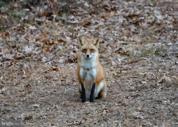 $1,950,000 | 10543 Woodsboro Road, Woodsboro, MD 21798