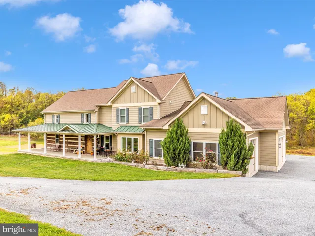 a view of a trees with a tree