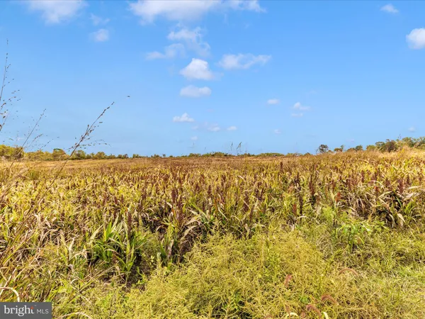 $1,950,000 | 10543 Woodsboro Road, Woodsboro, MD 21798