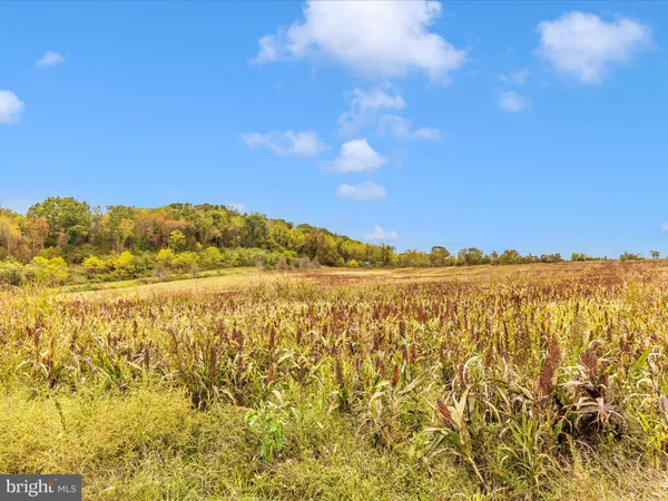 $1,950,000 | 10543 Woodsboro Road, Woodsboro, MD 21798