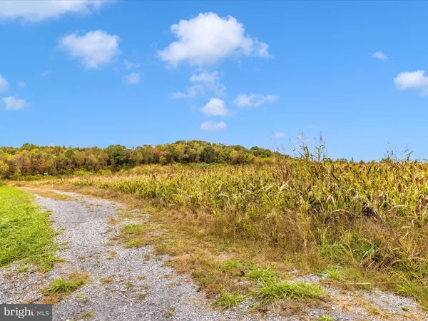 $1,950,000 | 10543 Woodsboro Road, Woodsboro, MD 21798