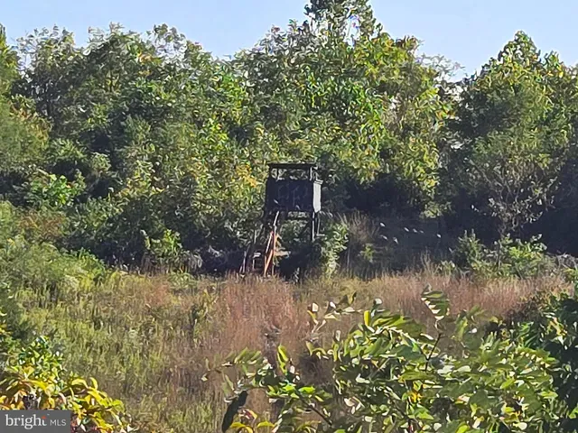 $2,150,000 | 10543 Woodsboro Road, Woodsboro, MD 21798