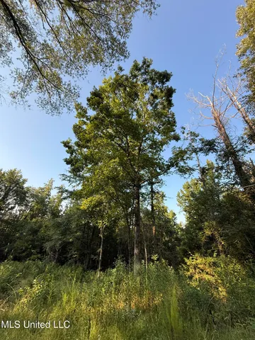 $314,730 | Sumrall Road, Crystal Springs, MS 39059