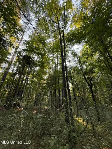 $314,730 | Sumrall Road, Crystal Springs, MS 39059