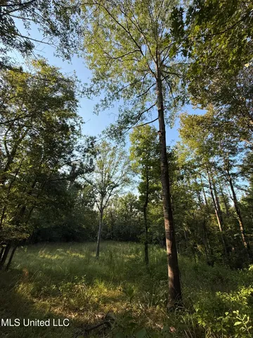 $314,730 | Sumrall Road, Crystal Springs, MS 39059